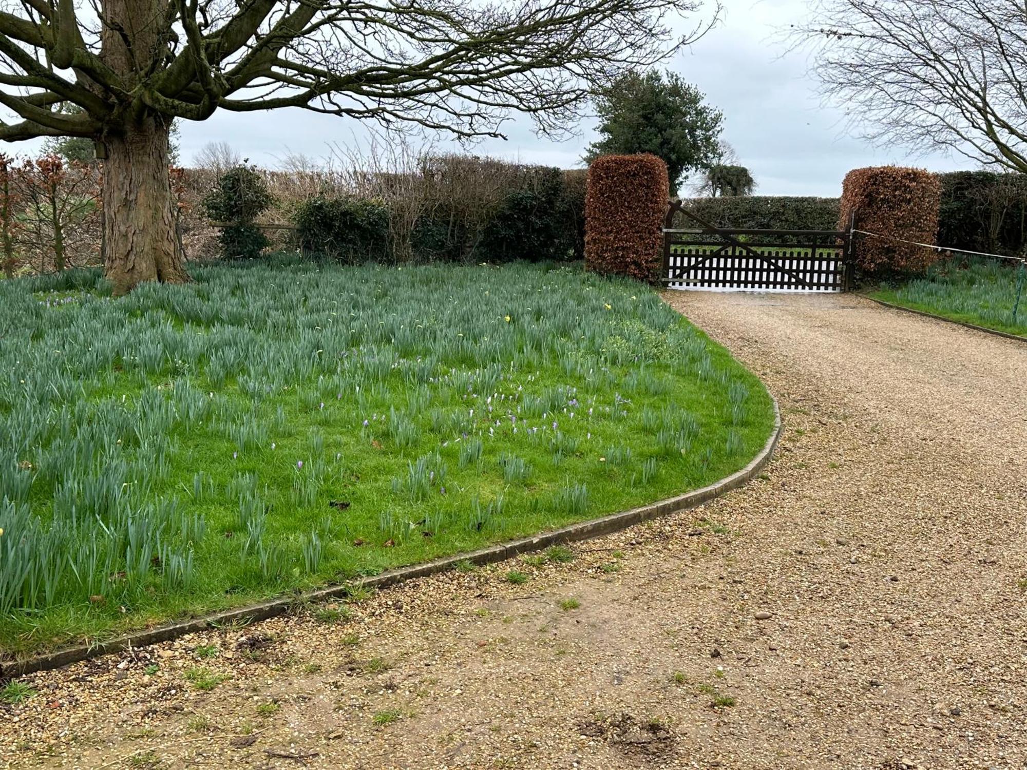 The Stable Room At The Grange Tetford Exteriör bild